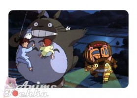 Totoro 11